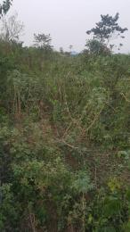 Land for sale Umuapu/ Ohaji Egbema Local Govt Ohaji/Egbema Imo