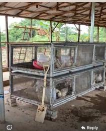 Commercial Property for sale Ofada Obafemi Owode Ogun