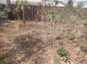 Land for sale Ibadan Oyo