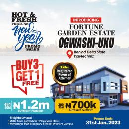 Land for sale Ugwashi Uku, Behind The Delta State Polythecnic. Asaba Delta