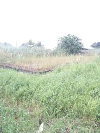Land for sale Sangotedo Ajah Lagos
