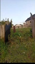 Land for sale Ajileye Axis, Ijedodo Ojo Ojo Lagos