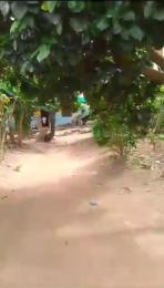 Land for sale Egbe/Idimu Lagos