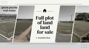 Land for sale Ago palace Okota Lagos