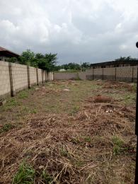 Land for sale Igbogbo Igbogbo Ikorodu Lagos