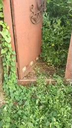 Land for sale Ait Lagos Alagbado Abule Egba Lagos