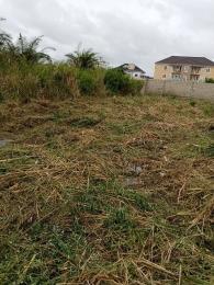 Land for sale On Spg Road, Ologolo Lekki Lagos