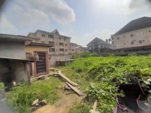 Land for sale Parkview Estate Ago palace Okota Lagos