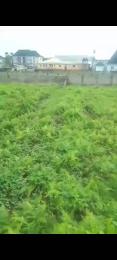 Land for sale Ago Roundabout Amuwo Odofin Amuwo Odofin Lagos