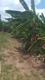 Land for sale Bucknor Isolo Lagos