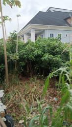 Land for sale Alidada, Ago Palace Way Ago palace Okota Lagos
