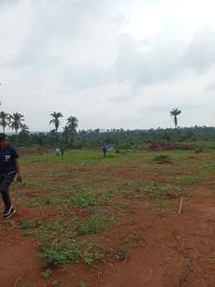 Land for sale Very Close To Ogun State Airport Ikenne Ogun