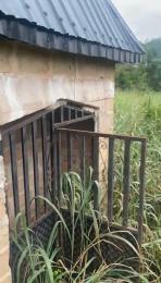 Land for sale At Ayen Community, Auchi Bypass After Egba Community Uhunmwonde Edo
