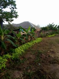 5 bedroom Land for sale Immaculate Estate Ph. 1 Ikorodu Ikorodu Lagos