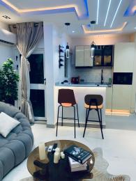 1 bedroom Flat / Apartment for rent Lekki Phase 1 Lekki Lagos