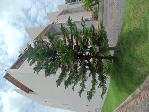 4 bedroom House for rent Wuse 2 Abuja Diplomatic Zone Wuse 2 Abuja