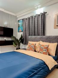 1 bedroom Flat / Apartment for rent Adeola Odeku Victoria Island Lagos