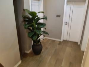 3 bedroom Flat / Apartment for rent Awolowo Road Ikoyi Lagos