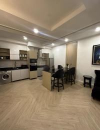 1 bedroom Flat / Apartment for rent Ikoyi Lagos