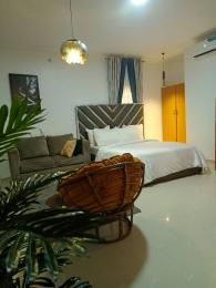 Flat / Apartment for rent Lekki Phase 1 Lekki Lagos