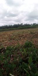 Land for sale Novella Garden Ajangbadi Ojo Lagos