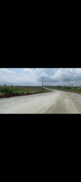Land for sale Proposed New Lagos International Airport Epe Lagos