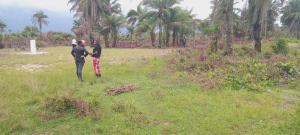 Land for sale Epe Lagos