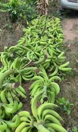 Land for sale Obafemi Owode Ogun
