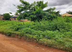 Land for sale Barracks Road Area Ojoo Ibadan Oyo