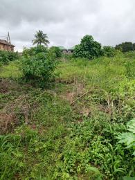 Land for sale Off Olaniyi Street New oko oba Abule Egba Lagos