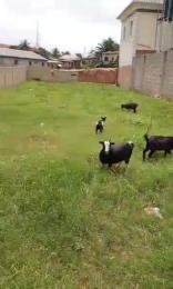 Land for sale Odo Eran Governors road Ikotun/Igando Lagos