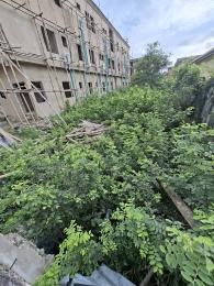 Land for sale Lambe Street Ago palace Okota Lagos
