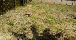 Land for sale Off Ajayi road Ogba Lagos