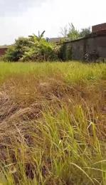 Land for sale Ijegun Ikotun/Igando Lagos