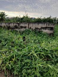Land for sale Oke-Ira Ogba Lagos
