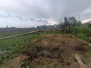 Land for sale Peace Estate Baruwa Ipaja Lagos. Baruwa Ipaja Lagos