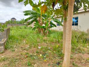Land for sale Gbagobi Close Ayobo Ipaja Lagos