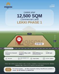 Land for rent Freedom Way Lekki Phase 1 Lekki Lagos