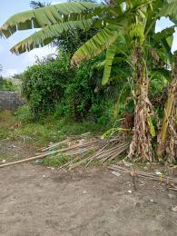 Land for sale Abijo Ajah Lagos