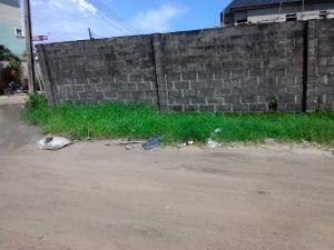 Land for rent Facing Expressway Before Abraham Adesanya Round About Ajiwe Ajah Lagos