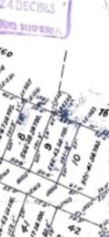 Land for sale Adelabu Surulere Lagos