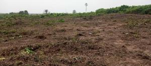 Land for sale Epe Empire Close To Augustine University And Lagos State Logistics Epe Road Epe Lagos