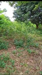 Land for sale Ewekoro Ogun