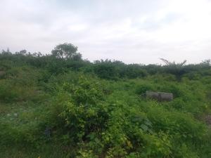 Land for sale Abijo G.r.a Abijo Ajah Lagos