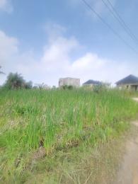 Land for sale Silver Point Estate Badore Ajah Lagos