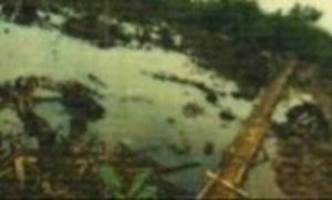 Land for sale Majidun Ikorodu Lagos