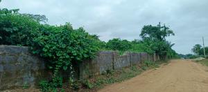 Land for sale Epe Lagos