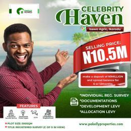 Land for sale Agric Isawo Ikorodu Lagos