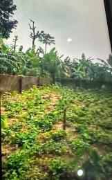 Land for sale Shelter Afrique Extension Uyo Akwa Ibom
