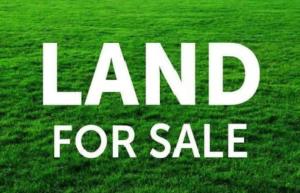 Land for sale Ago palace Okota Lagos